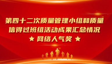 第四十二次质量管理小组和质量信得过班组活动成果汇总情况网络人气奖